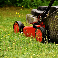 Gartenbetreuung und Rasen mähen